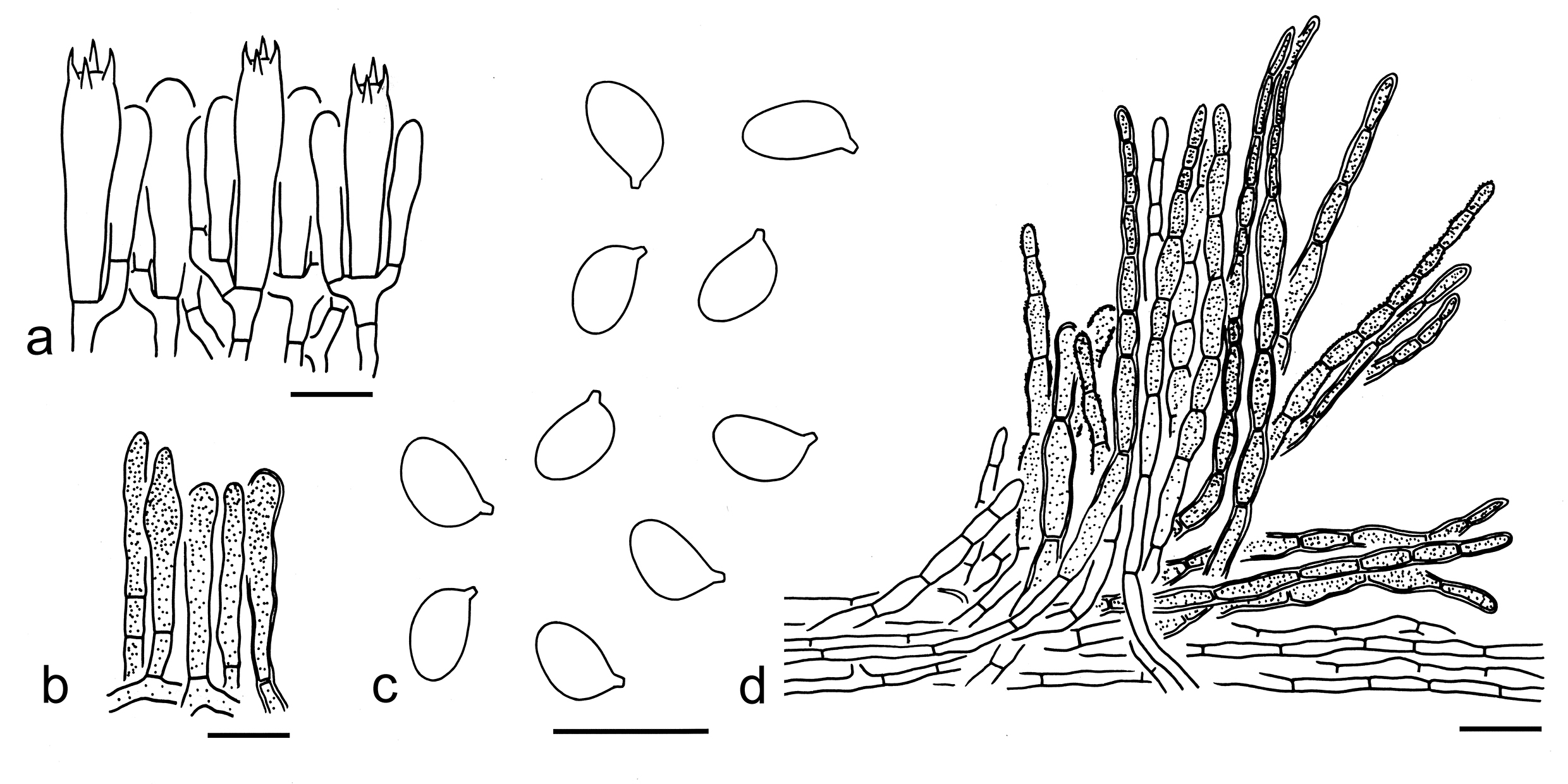 Figure 89